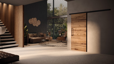 Modernes Wohnzimmer mit Echtholztüren von Ringo